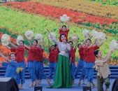 网红商城 - 抖音买粉丝抖音刷赞用具刷播放量自帮下单-超廉价ks营业自帮下单台（潮货舱百货便当店从此的发达趋向便捷生计）