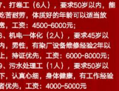 染整招聘,人才需求与职业发展新机遇